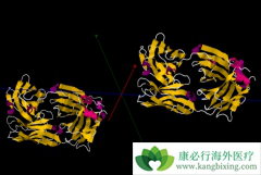 ������/�����������벼����������ʱ����ʲô������