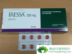 ��������(GEFITINIB)��EGFR���Ƽ��еĽܳ�����