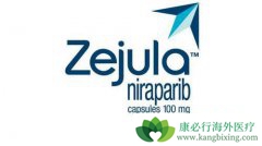 �����ϵ�PARP���Ƽ�������������(Niraparib)����ʲô��