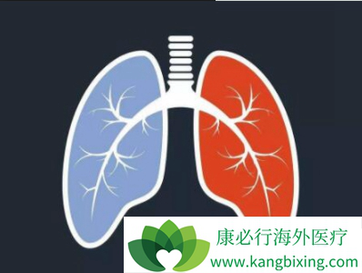 肺动脉高压 肺动脉高压