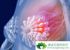 �����鵥��(pertuzumab)���������ٰ���������Щ���ã�