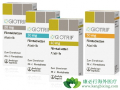 EGFRͻ��ķ�Сϸ���ΰ�����ʹ�ö���TKI�����������������Ч����