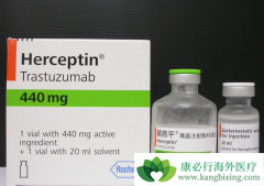 �����鵥��������������HER2�������ٰ������ƾ���