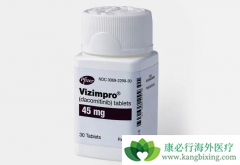 ����EGFR���Ƽ�������ᣨVIZIMPRO��������Ч����ô����