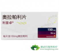 PARP���Ƽ�����������������ϵBRCAͻ���HER2����ת�������ٰ�