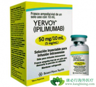 ��ƥľ����(ipilimumab)�߸��˺�ɫ�������ƹ���