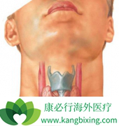 �����ļ�״������֢״����Щ�����Լ�״�������ᰩ����