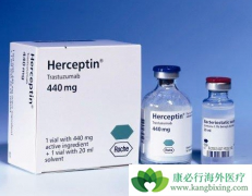 ���������ĺ���͡�������ҩ����׼�����������ٰ�