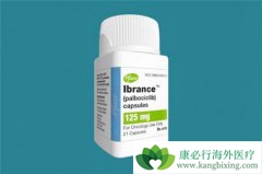 ���ٰ�ҩ����������(palbociclib)������Ч���Ƽ������԰�Ѫ����