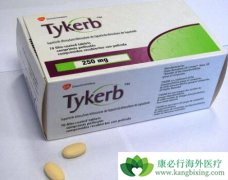 ��������/̩��ɳ���Ͽ��������������ٰ��İ�ȫ�Լ���Ч�Է���