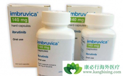 ���˵�BTK���Ƽ���³������ѪҺ�������Ƶ���ͻ��ҩ��