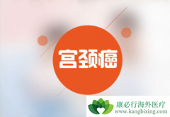 ��Щ�����������ܴӱ�������(avastin)�л��棿