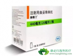 �����鵥��(herceptin)�ܷ�Ƥ��ע�䣿