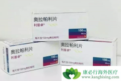 �������������ѳ�����Ч����������PARP���Ƽ���³������