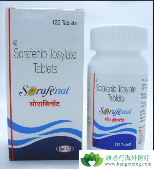 ��������Ƭ