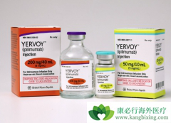 ��ƥ������yervoy����ȫ���׿�������е����߼������Ƽ�