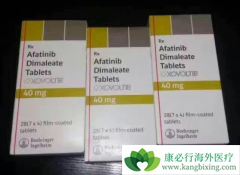 ��������(AFATINIB)�����޷��۰����ߵ����Ƹ�������