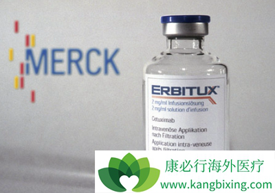 西妥昔单抗 西妥昔单抗