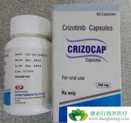 ���������������Բ�ɱ�ΰ�ϸ�������ٶԽ���ϸ��������