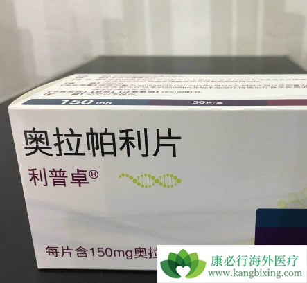 PARP抑制剂 PARP抑制剂