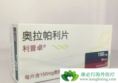 PARP���Ƽ������������ѳ�����һ��ά��������Ч����ô����