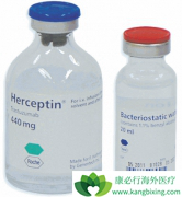 T-DM1�����ٰ����ߵ���Ч���������鵥����