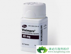 ������ᣨVizimpro��Ŀǰ����һ�����Ʒ�Сϸ���ΰ�������