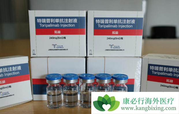 特瑞普利单抗 特瑞普利单抗