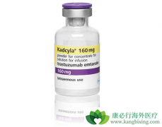 HER2�������ٰ�ʹ��T-DM1���Ƶ�Ч���������鵥������ĸ��ã�