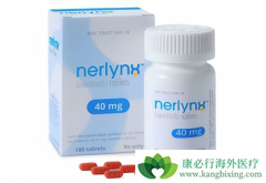 �����������Ƴ�����ת�Ƶ�HER2�������ٰ����ߵ���Ч��ô����