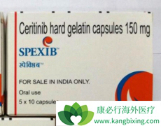 ɫ������(Ceritinib)��ALK���Էΰ����ߵ��������кܴ����