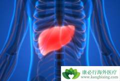 ��Ī¬����(ramucirumab)�ܷ��������ڸΰ���