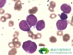 ������ϸ���ܰ�����ҩ������Щ����³����Ч����ô����