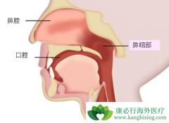 ���ʰ����Ʋ���ʱ������ЩΣ�����ճ����Ԥ����֢��