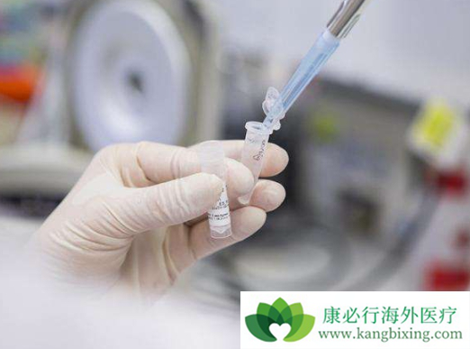 白血病治疗 白血病治疗