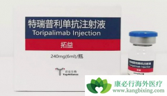 PD-1���Ƽ����棨�����������������й����ۼ��Ƕ���Ǯ��