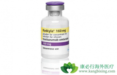 HER2�����������ٰ����������鵥�������鵥���⻹����ʹ��T-DM1