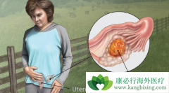 Ŀǰ�й��ѳ�����������Ҫʹ����Щҩ�