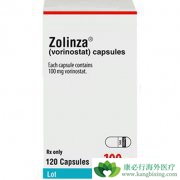 ����ŵ��(Zonlinza)����Ƥ��Tϸ���ܰ�������Ч�Լ�ע������