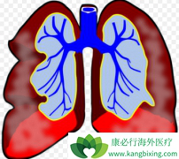 �ζ�����ѹ����ҩ����˰�����̹Ƭ����ʲô��