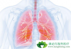 �������������ڷ�Сϸ���ΰ�����ĸ���������