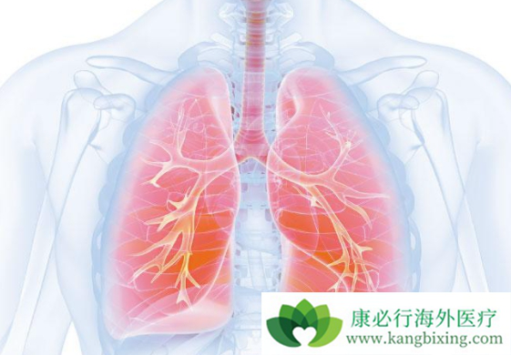 ��Сϸ���ΰ�