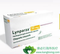 ��˹������ҩ��������(Olaparib)���ڸı��ѳ���������״