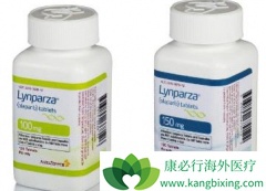 ���������ӳ����໯��ʧ�ܵ��ѳ���������������������