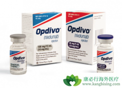 PD-1���Ƽ�Opdivo�����䵥��������ʳ�ܰ����ߵ���Ч��ô����