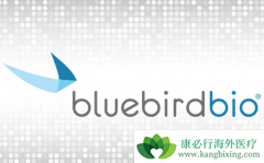 �������Ｔ�������Ļ����Ʒ�LentiGlobin�ۼ۸ߴ�210����Ԫ