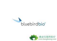 �����Ʒ�LentiGlobin�ѻ������FDA��ŷ��ҩƷ�����ְ䷢�Ĺ¶�ҩ�ʸ�