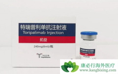 ���������������ŵ����������Ѿ����е��������PD-1���Ƽ�