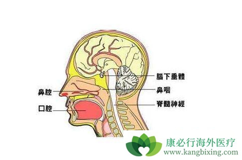 ���ʰ�����