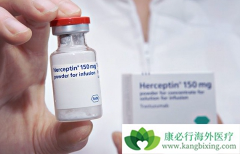 ��HER2ҩ��ĳ��ָ��������ٰ����ߵ����ƾ���